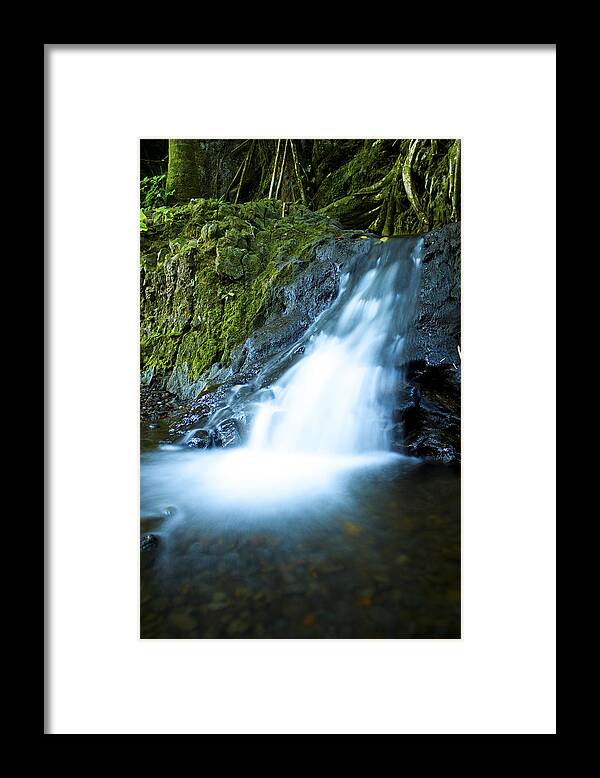 Waterfall Framed Print featuring the photograph Blue Falls off the Beaten Path by Bryant Coffey