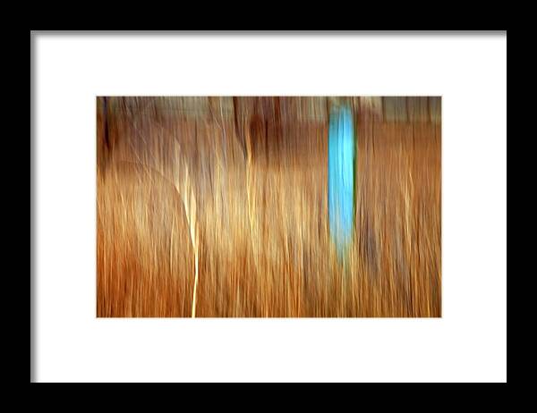 Outdoors Framed Print featuring the photograph Blue Fencepost by Theresa Tahara