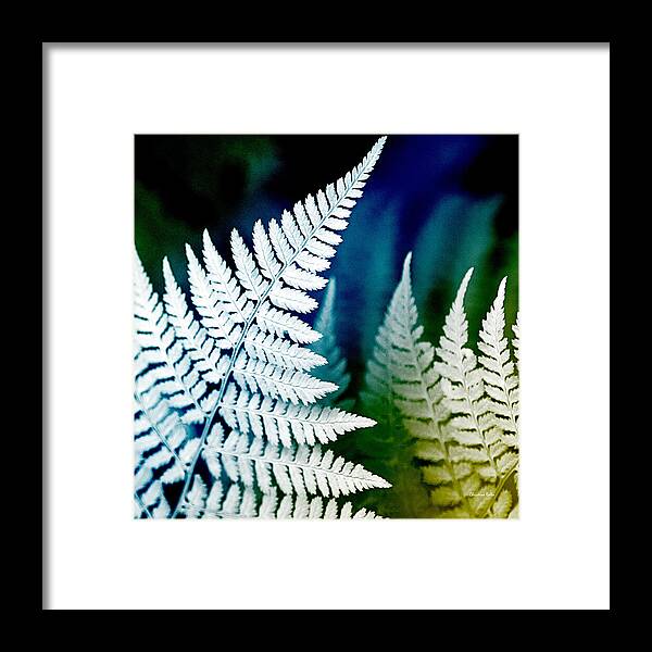 Fern Framed Print featuring the photograph Blue Fern Leaf Art by Christina Rollo