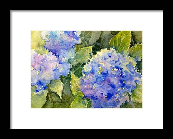 Hydrangea Framed Print featuring the painting Blue Hydrangea by Cynthia Roudebush