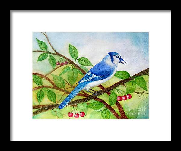 Blue Jay Watercolor Framed Print featuring the painting Blue Jay by Anjali Vaidya