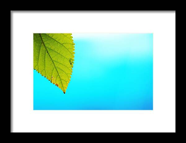 Green Leaf Framed Print featuring the photograph Blue Lagoon by Prakash Ghai