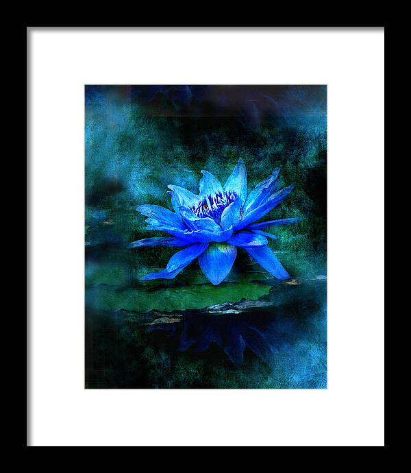 Blue Mist - Bill Voizin Framed Print featuring the photograph Blue Mist by Bill Voizin 