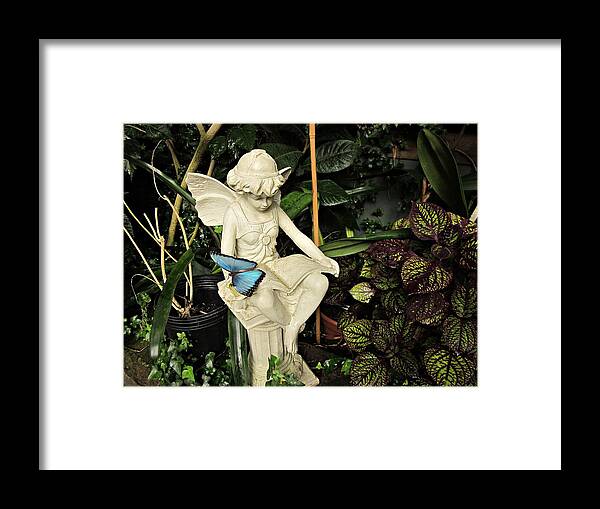 Blue Morpho Butterfly Framed Print featuring the photograph Blue Morpho on Statue by MTBobbins Photography