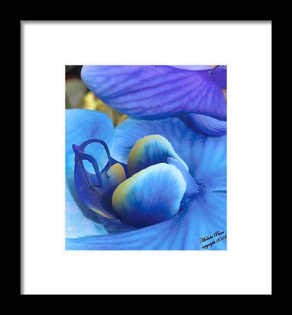 Blue Framed Print featuring the photograph Blue Oasis 2 by Michele Penn