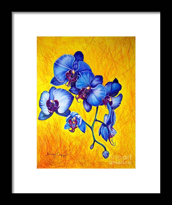 Orchid Flower Framed Print featuring the painting Blue Orchids 1 by Nancy Cupp