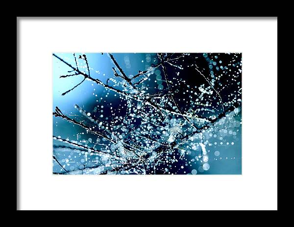 Macro Framed Print featuring the photograph Blue Rhapsody by Beata Czyzowska Young