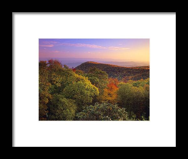 00175692 Framed Print featuring the photograph Blue Ridge Mountains in Autumn by Tim Fitzharris