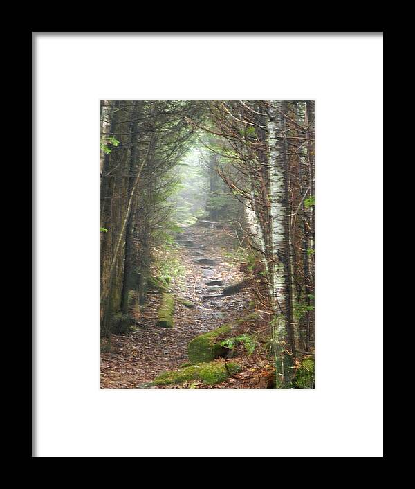 Nature Framed Print featuring the photograph Blue Ridge Trail by Deborah Ferree