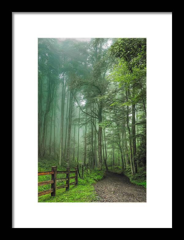 North Carolina Framed Print featuring the painting Blue Ridge - Trees in Fog Country Road II by Dan Carmichael