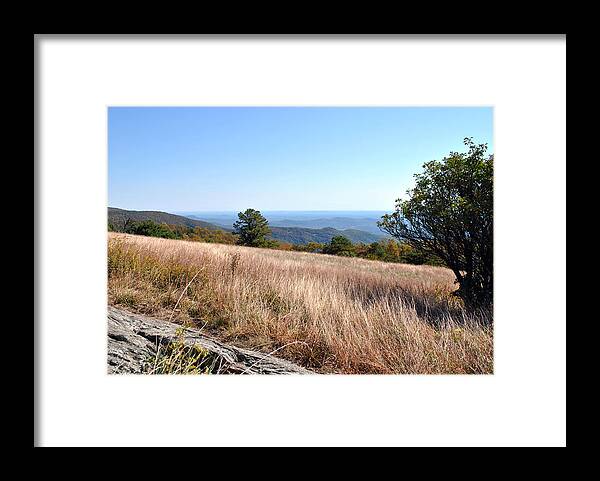 Mountains Framed Print featuring the photograph Blue Ridge View by Kelly Nowak