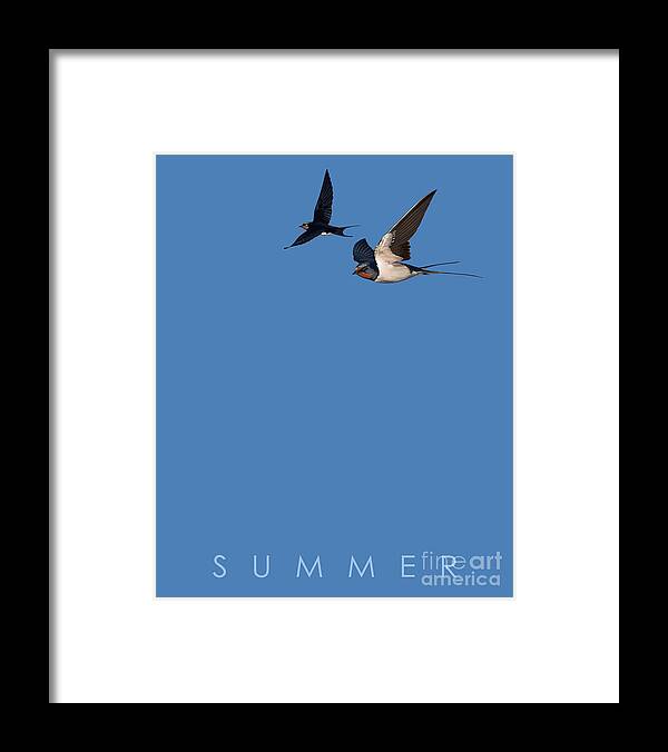 Illustration Framed Print featuring the mixed media Blue Series 002 Summer by Rob Snow