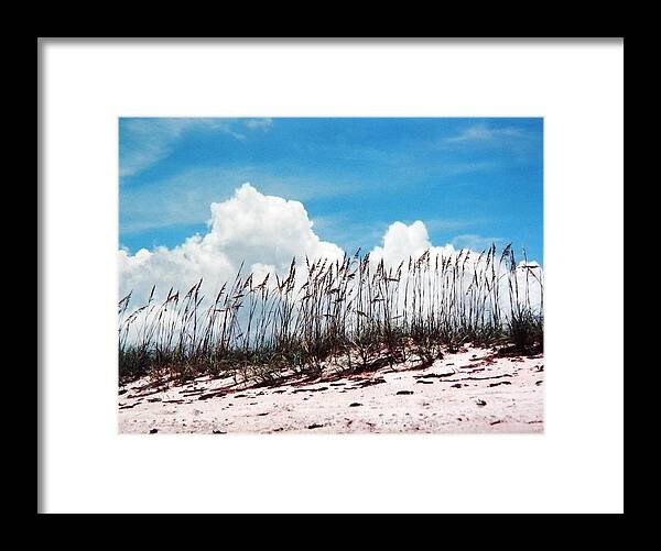Bright Framed Print featuring the photograph Blue Skies and Skyline of Sea Oats by Belinda Lee
