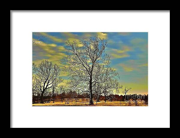 Trees Framed Print featuring the photograph Blue Sky's by Tracy Rice Frame Of Mind