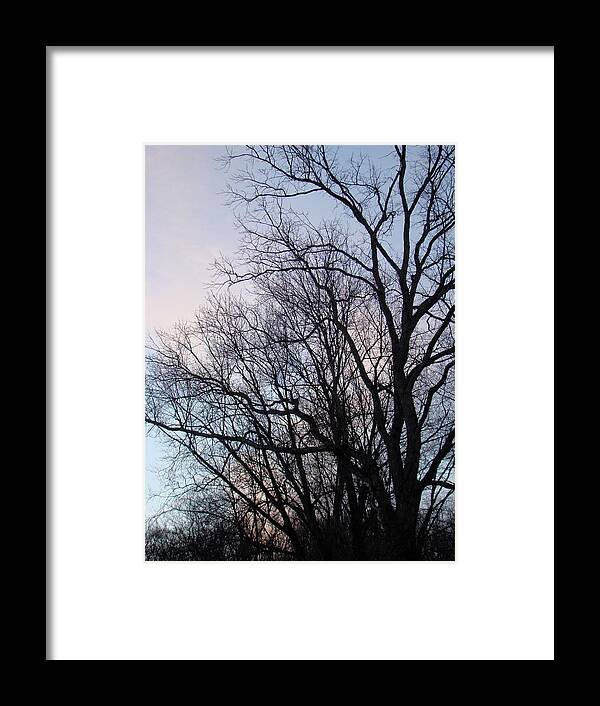 Trees Framed Print featuring the photograph Blue Sunset by Carol Senske