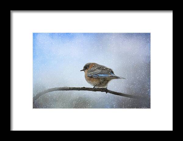 Jai Johnson Framed Print featuring the photograph Bluebird In The Snow by Jai Johnson