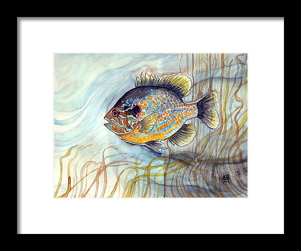 Bluegill Fish Framed Print featuring the painting Bluegill by Katherine Miller