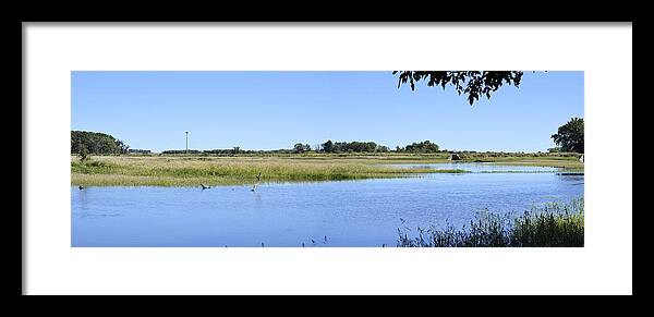 Blue Framed Print featuring the photograph Bluer Than Blue by Bonfire Photography