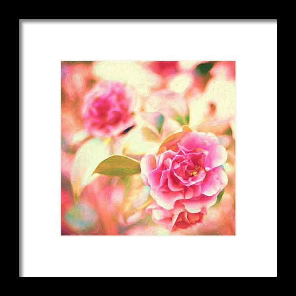 Blush Roses Texture Painting Framed Print featuring the painting Blush Strokes by Joel Olives