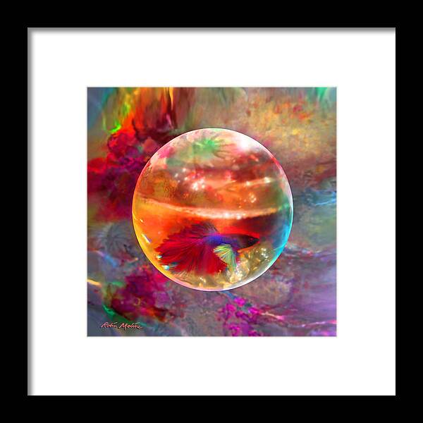  Betta Fish Framed Print featuring the painting Bol de Monet' by Robin Moline