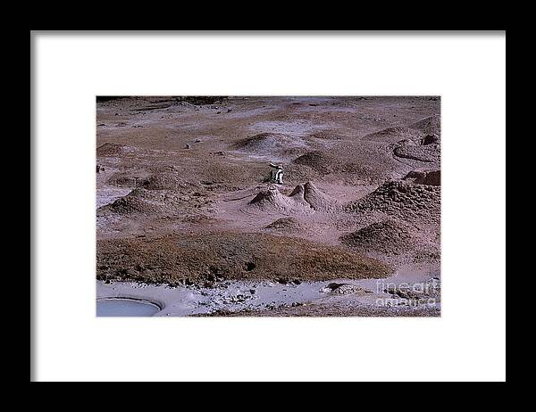 Yellowstone Framed Print featuring the photograph Bones in Mudpots by Sharon Elliott