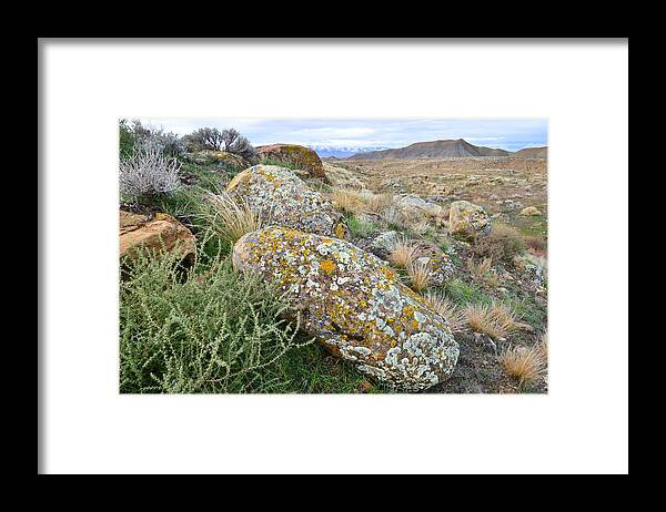 Bookcliffs Framed Print featuring the photograph Bookcliffs 84 by Ray Mathis