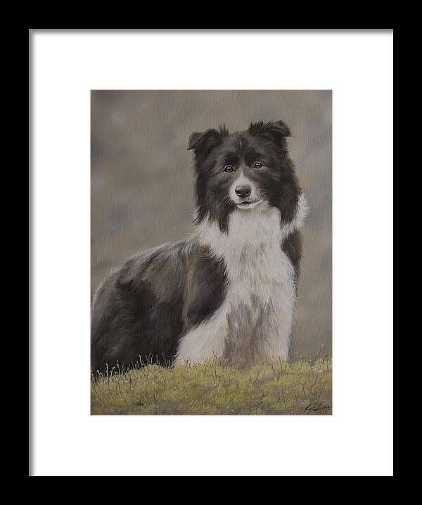 Border Collie Framed Print featuring the painting Border Collie portrait VIII by John Silver