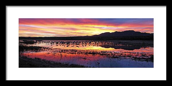 Panorama Framed Print featuring the photograph Bosque Del Apache by Steven Ralser