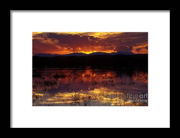 Bosque Framed Print featuring the photograph Bosque Sunset - orange by Steven Ralser
