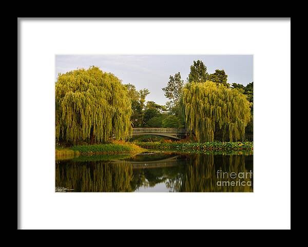 Sunset Framed Print featuring the photograph Botanic Garden Bridge at Dusk by Nancy Mueller