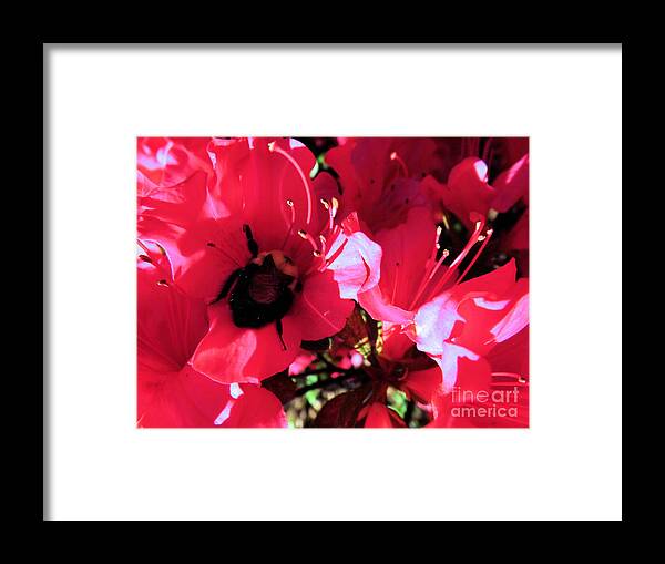 Landscape Framed Print featuring the photograph Bottoms Up by Robyn King