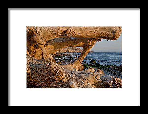 Bowling Ball Beach Framed Print featuring the photograph Bowling Ball Beach Framed in Driftwood by Her Arts Desire