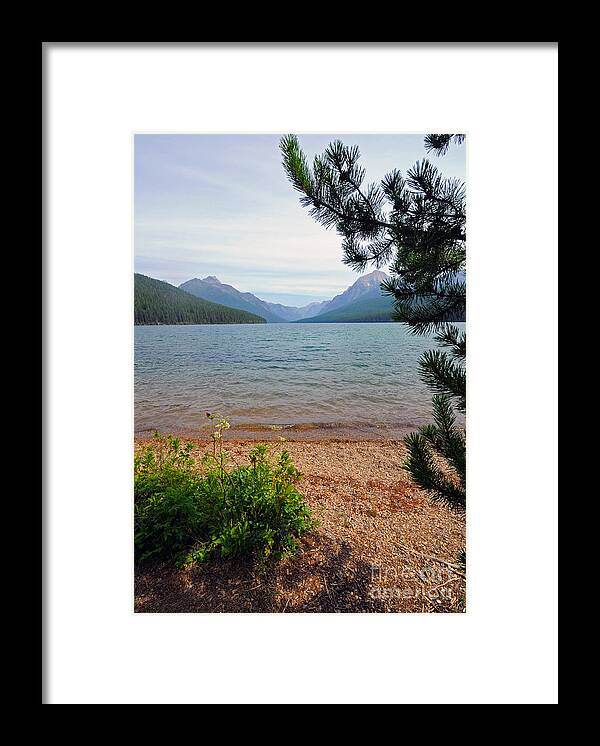 Bowman Framed Print featuring the photograph Bowman Lake - Glacier NP by Cindy Murphy - NightVisions 