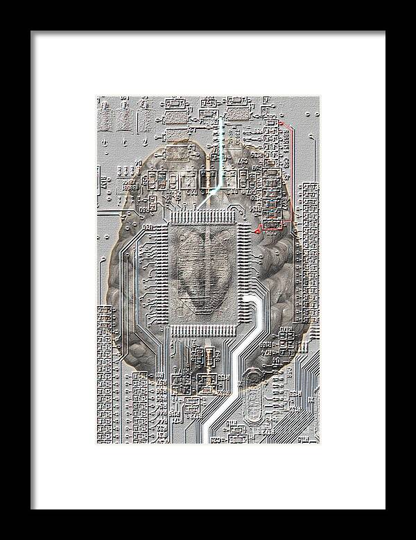 Brain-computer Interface Framed Print featuring the photograph Brain Circuit by Mike Agliolo