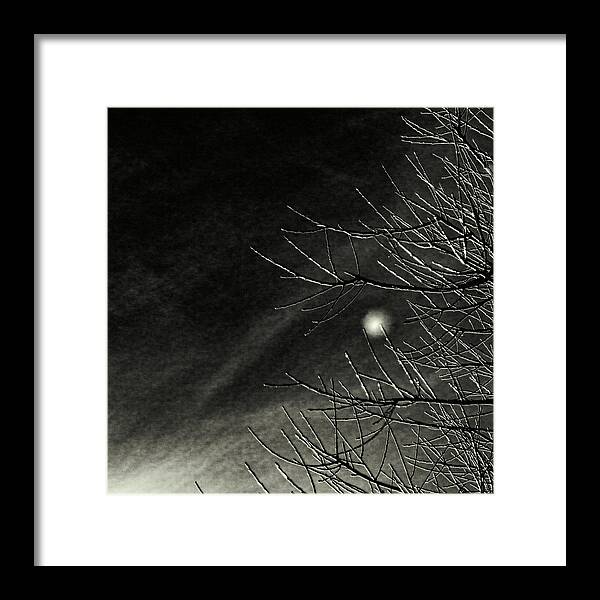 Infrared Framed Print featuring the photograph Branching Out by Kate Hannon