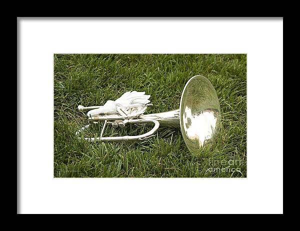 Brass Instrument Framed Print featuring the photograph Brass in Grass by Carol Lynn Coronios