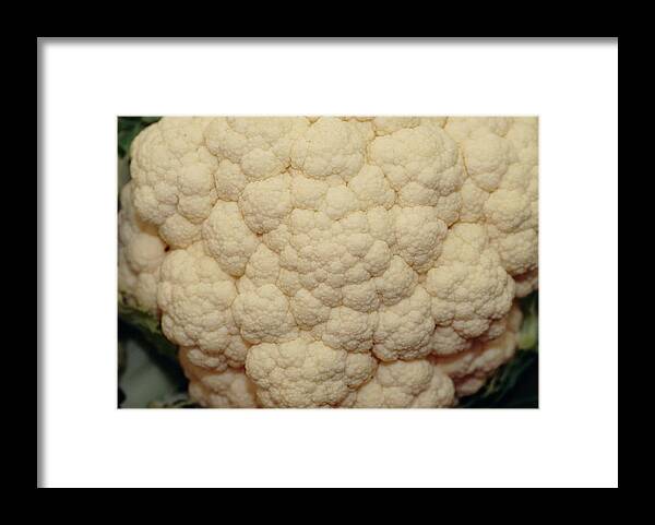 Brassica Oleracea Elby. Framed Print featuring the photograph Brassica Oleracea Elby. by Adrian Thomas/science Photo Library