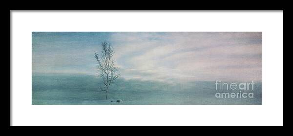 Tree Framed Print featuring the photograph Brave The Black Frost by Priska Wettstein