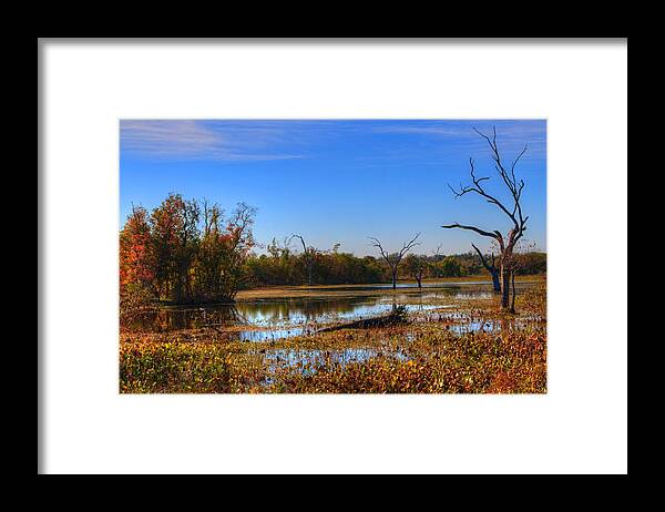 Swamp Framed Print featuring the photograph Brazos Bend Swamp by David Morefield