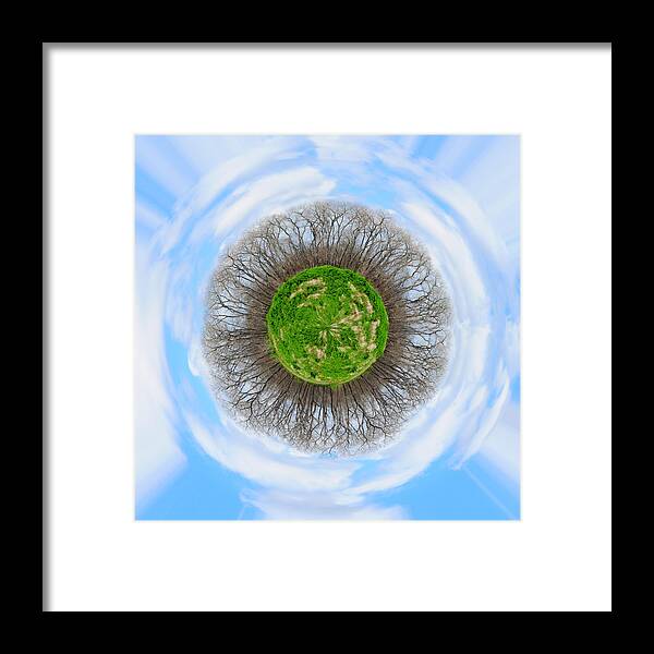 Wright Framed Print featuring the photograph Brazos Trees Wee Planet by Paulette B Wright
