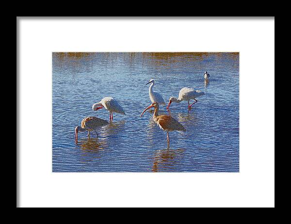 Water Framed Print featuring the photograph Breakfast At Sister's Creek by Ross Lewis