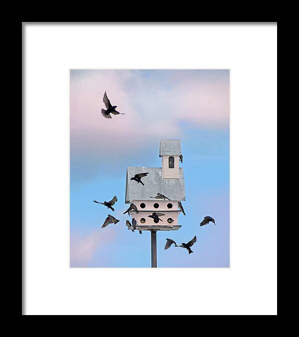 Birds Framed Print featuring the photograph Brealfast at the Martin House by Deborah Smith