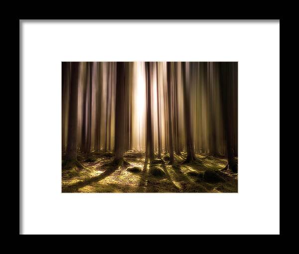 Trees Framed Print featuring the photograph Breath Of Life by Christian Lindsten