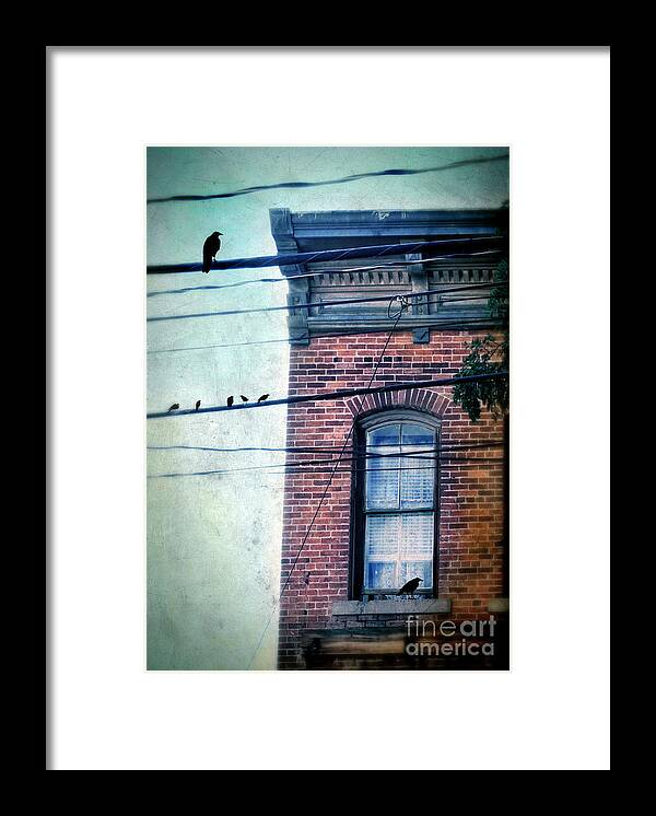 House Framed Print featuring the photograph Brick Building Birds on Wires by Jill Battaglia