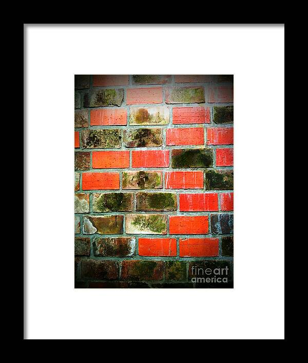 Bricks Framed Print featuring the photograph Brick Wall by Eena Bo