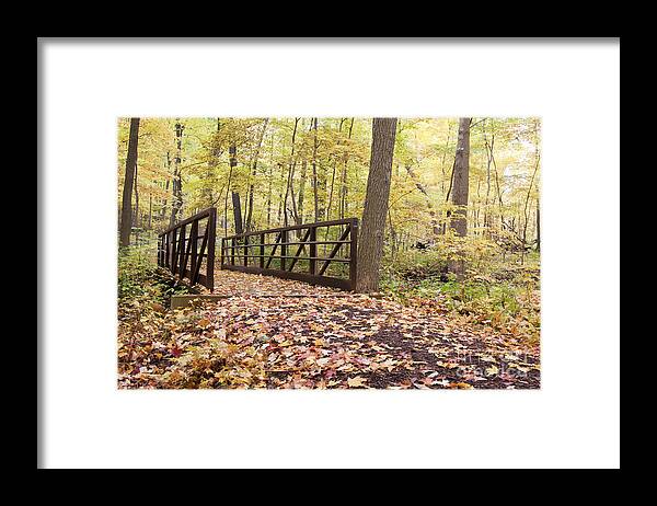 Bridge Through The Woods Framed Print featuring the photograph Bridge Through the Woods by Patty Colabuono