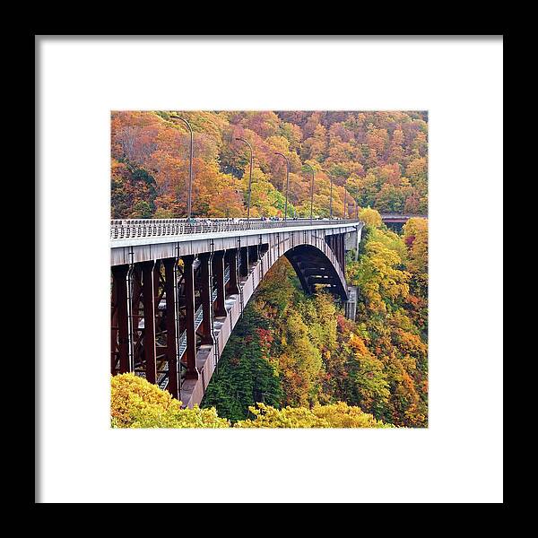 Tranquility Framed Print featuring the photograph Bridge With Trees by Marco Ferrarin