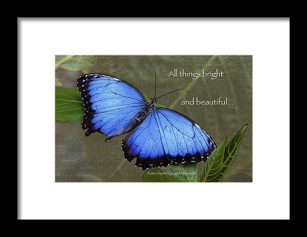 Karen Stephenson Photography Framed Print featuring the photograph Bright and Beautiful by Karen Stephenson