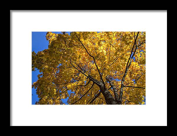 Landscape Framed Print featuring the photograph Bright eyes by Rob Dietrich