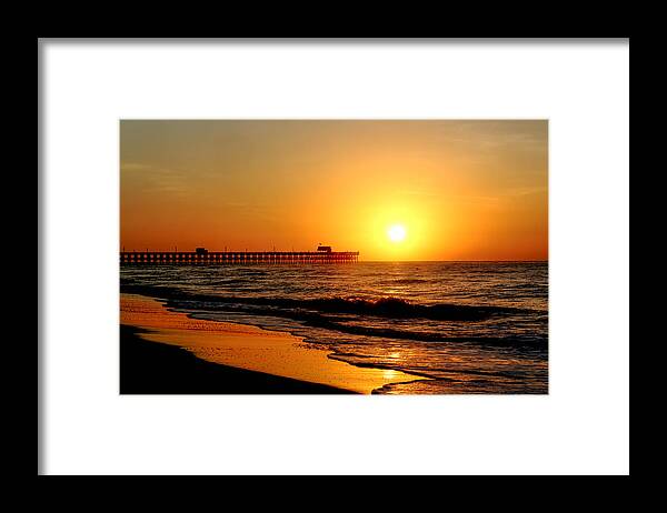 Myrtle Framed Print featuring the photograph Bright by Jimmy McDonald
